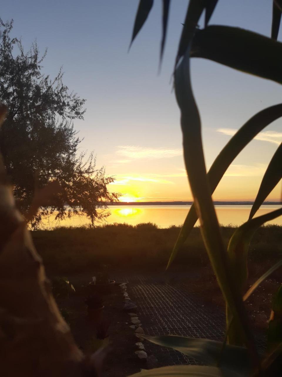 Apus De Soare Apartment Mamaia Kültér fotó